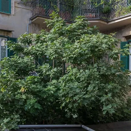 New! Design 2 Min From Spanish Steps